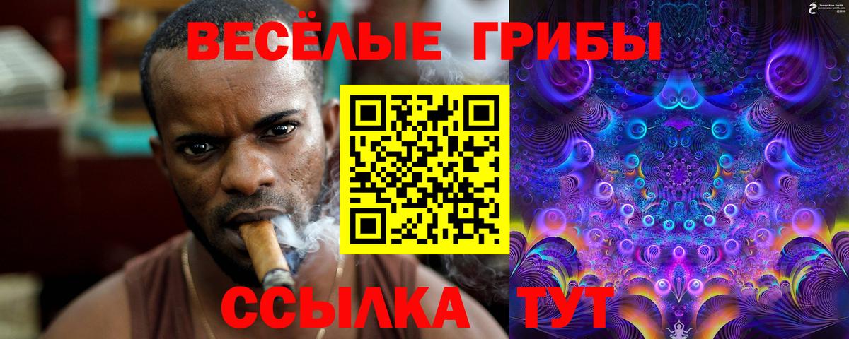 Богородск  Галлюциногенные грибы GOLDEN TEACHER  Галлюциногенные грибы GOLDEN TEACHER  как найти закладки  Вход с VPN 