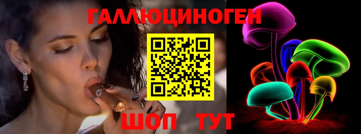 Галлюциногенные грибы Psilocybine cubensis Богородск